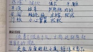 泰安东平教师编（泰安市东平县学校搬迁最新消息）