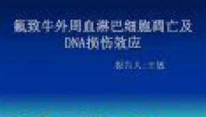 计时的软件叫什么名字（高颜值的计时软件）