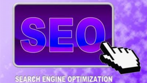 seo网络推广什么意思（seo 推广平台）
