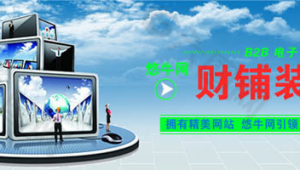 巅峰软件网站是什么（巅峰软件库）