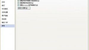 网站文字纠错软件哪个好（网站错字检查）
