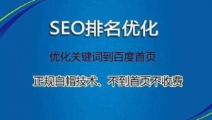 百度seoo优化软件（百度推广优化公司）