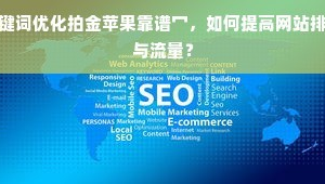 app关键词排名优化（关键词优化大师）