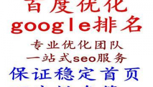 中山谷歌seo哪家好用点_中山谷歌seo哪家好用啊