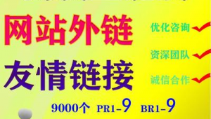 山东搜索引擎优化_山东seo公司
