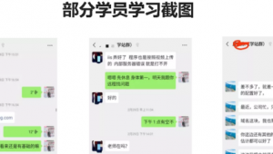 站群霸屏王（霸屏站群泛目录）
