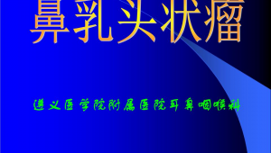 遵义医学院 站群