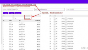 如何搭建站群网站（做什么站群赚钱）