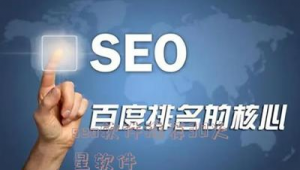神马seo服务（神马搜索排名查询）