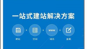 破解网站受限软件有哪些(破解网站权限)