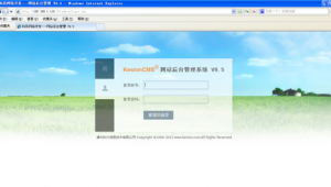 网站更新美化软件哪个好（网站怎么美化）