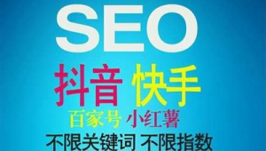 seo软件服务（企业seo开发）