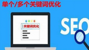 seo顾问培训推广软件下载（seo推广培训中心）