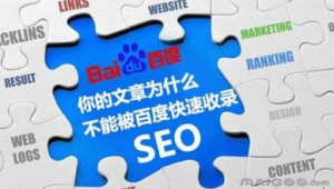 快速seo营销软件有哪些（seo全网推广营销软件）