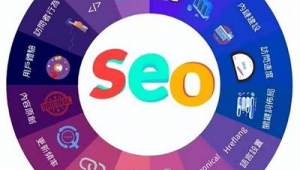 seo软件视频教程（seo常用软件）