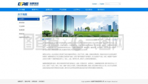 软件人才招聘网站（软件人员招聘网站）