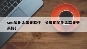 seo优化金苹果软件二