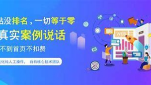 保定关键词自动排名（关键词优化哪家强）