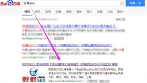 漯河专业seo地址_漯河网站推广