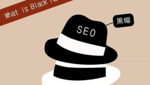 最新seo黑帽技术工具软件（seo黑帽有哪些技术）