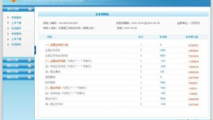 报税软件下载网站官网（报税软件叫什么名字）