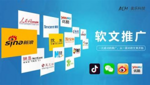 中山seo服务公司（中山网站快速优化排名）