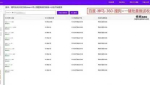 大流量网站优化（优化流量超标软件）