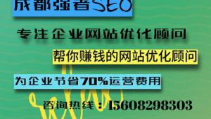 成都搜索优化_成都网站优化在线咨询