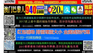 网上打鱼儿app(网络打鱼的网址是多少)