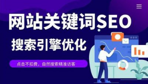 代做seo关键词排名优化软件是真的吗_代做网站关键词排名