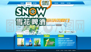 雪花软件公司（雪花网app下载赚钱）