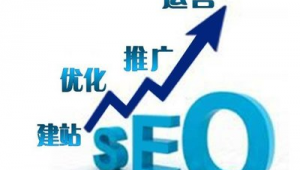 长春网站优化快速排名_长春最专业的seo公司