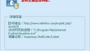 网站自动入侵软件下载（网站入侵 教程）