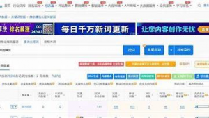 seo长尾词是什么意思（长尾词挖掘工具）