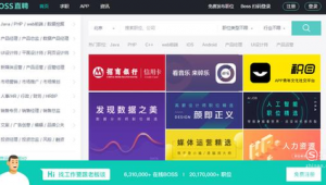 面试 软件（面试常用软件）