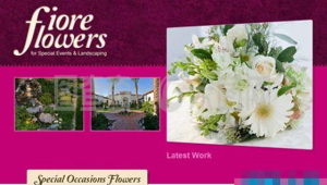 花店网站设计软件哪个好（花店的网页设计图）