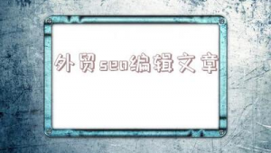 黑帽seo软件 si