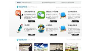 大连规模大的优化网站有哪些_大连优化泵业有限公司怎么样