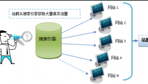 站群还能做吗（站群需要多少站点）