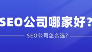深圳seo优化方面报价