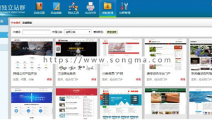 cms站群程序_cms站群二次开发