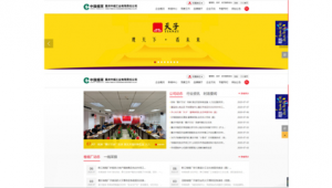 软件信息发布网站有哪些（软件发布官网）