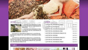 水晶网站设计软件下载（水晶浏览器是什么意思）