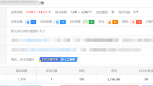 网站优化seo的理论意义_seo是对网站进行什么优化比较好?