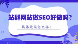 站群还能做吗（站群赚钱吗）