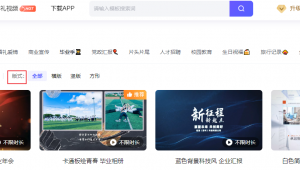 软件锦囊下载网站安全吗（软件精灵-用户登录网址）