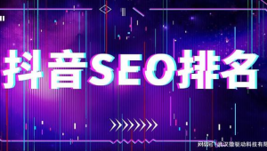 抖音seo帝搜软件平台（抖音视频搜索排名帝搜软件）