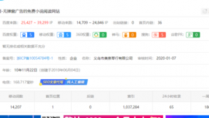 小说泛目录站群程序—x2版（下载站泛目录站群程序）