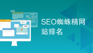 seo_seo技术蜘蛛屯（seo蜘蛛是什么意思）