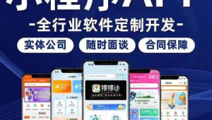 手机网页开发软件（手机端网站开发技术）